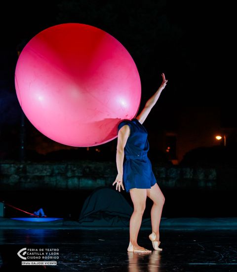 "Metábasis" - CÍA LAELE ART — foto 10 de 15
