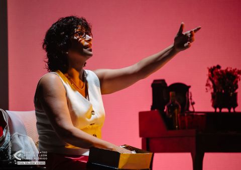 "La mirada de Lucía" - TEATRO DEL NAVEGANTE — foto 9 de 12