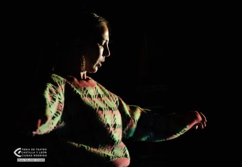 "La mirada de Lucía" - TEATRO DEL NAVEGANTE — foto 7 de 12